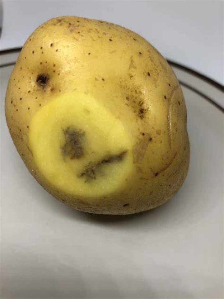 Are my potatoes bad