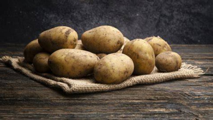 Are potatoes alive?