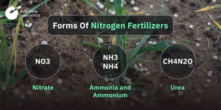 Are potatoes high in nitrogen?
