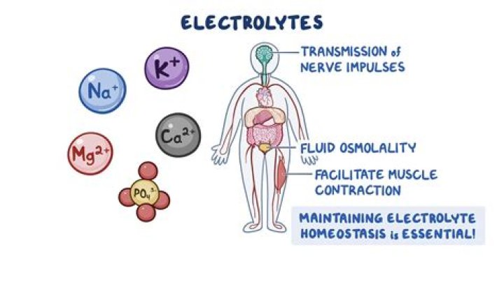 Are potatoes strong electrolytes?