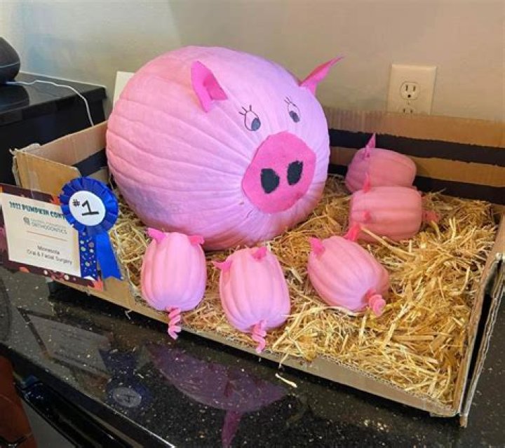 Are sweets made from pigs?