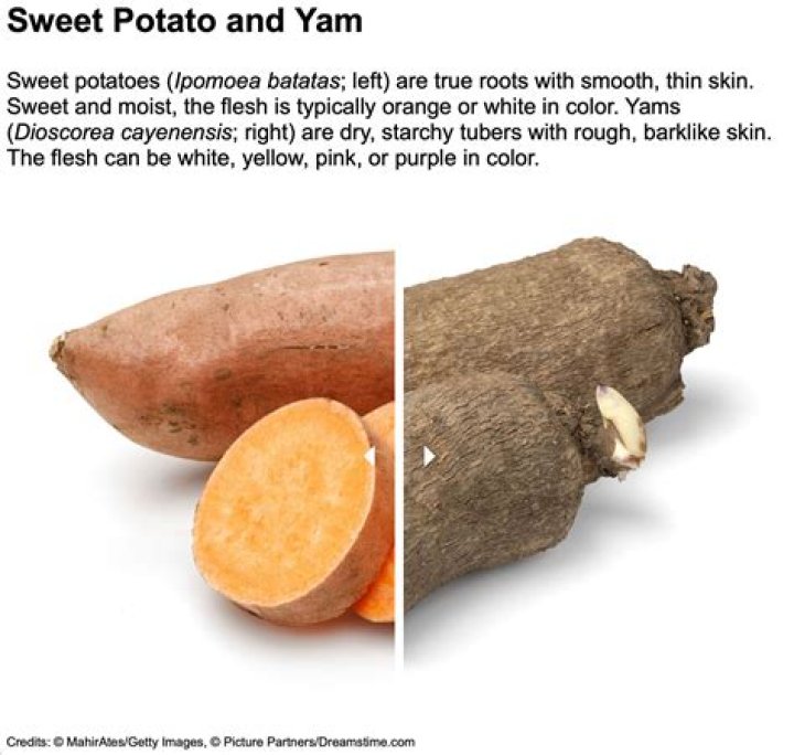Are yams and cassava the same?