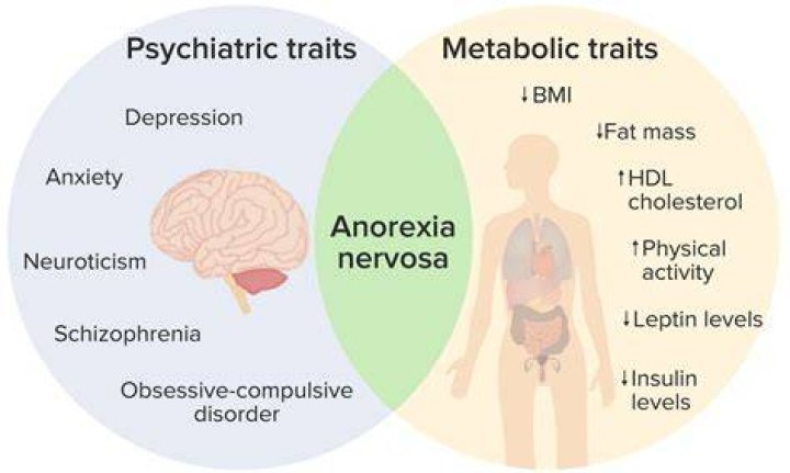 Can a normal person get anorexia?