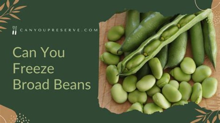 Can you dry broad beans