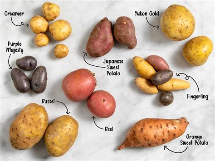 Did potatoes come from Old World?