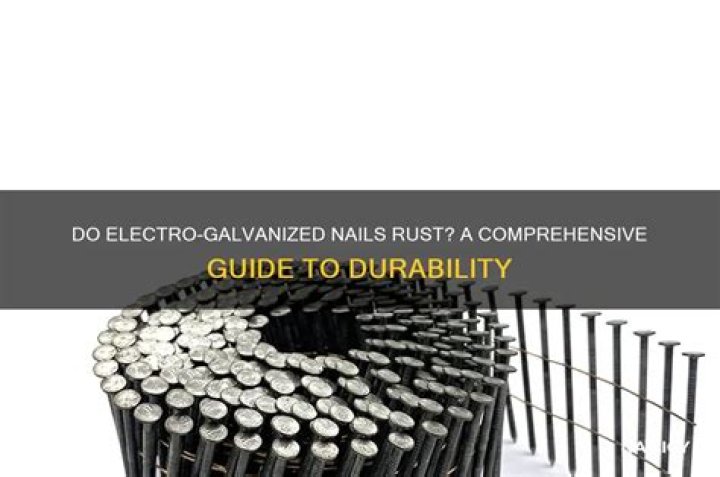 Do electro galvanized nails rust
