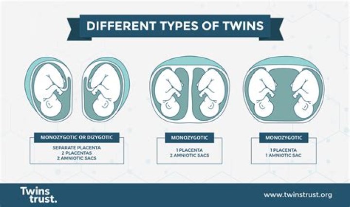 Do monozygotic twins have the same DNA