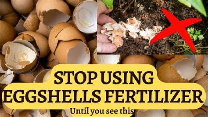 Do potatoes like eggshells?