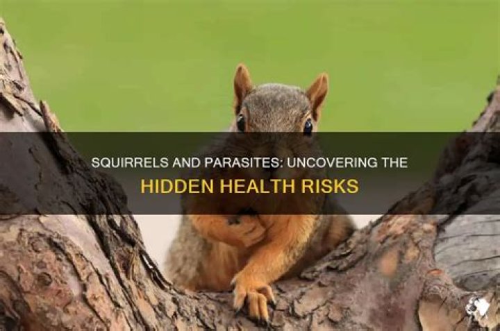 Do squirrels carry parasites