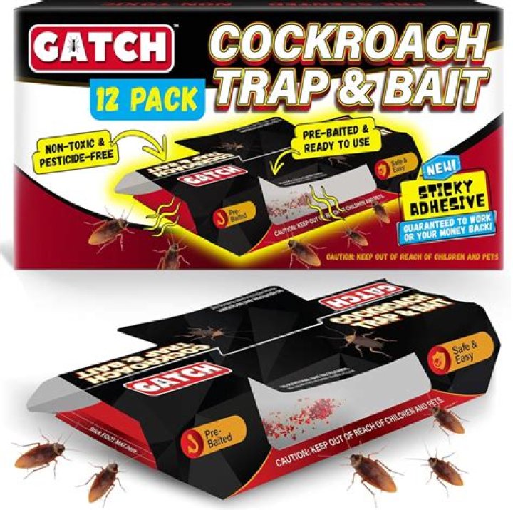 Do you bait glue traps
