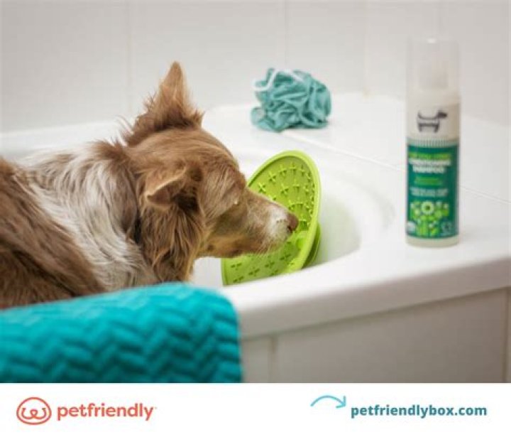 Does Banfield do flea baths