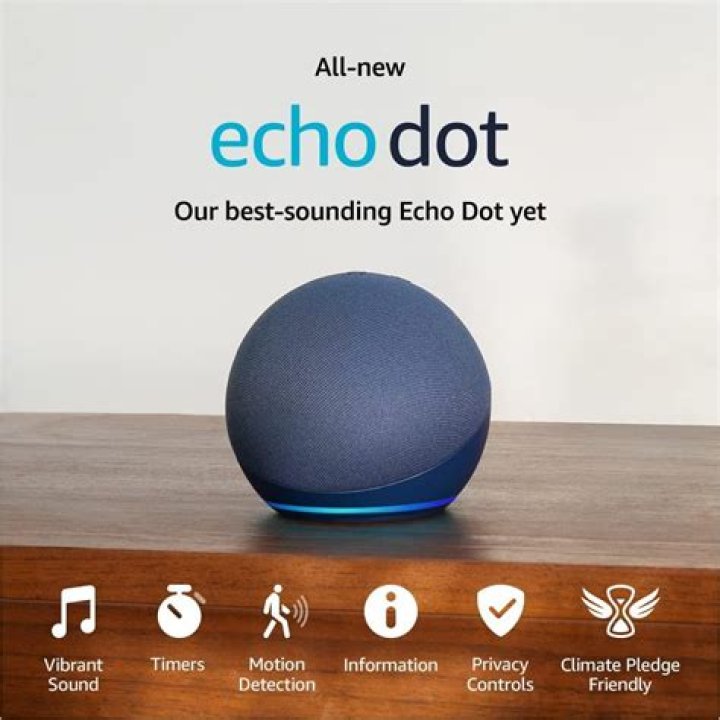 Does Echo DOT work with Nest