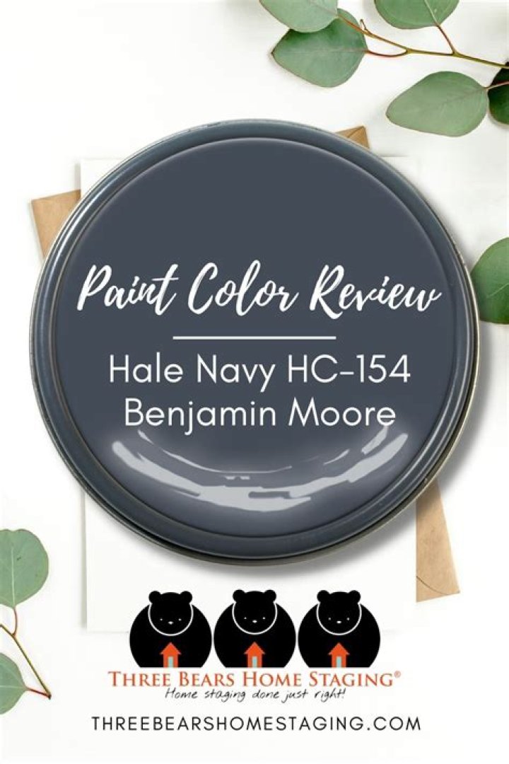 Does Hale Navy look black