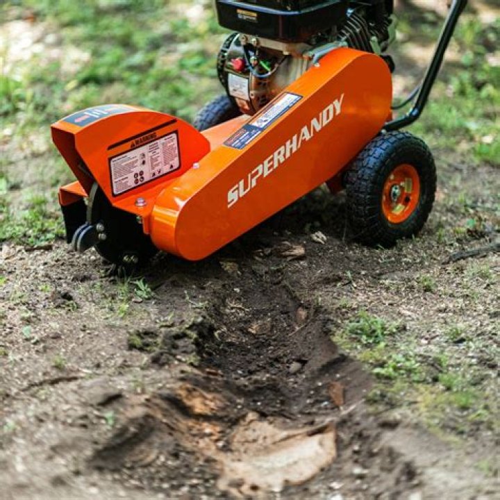 Does Home Depot rent tree stump grinders