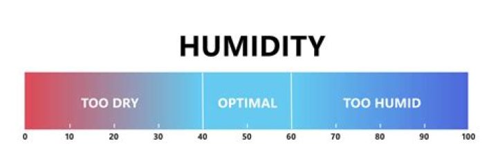 Does humidity decrease at night