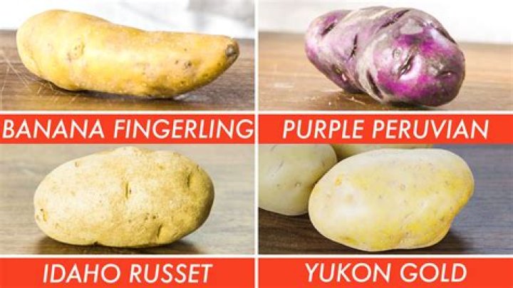 Does potato have an E?