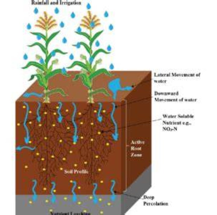 Does treated wood leach into soil