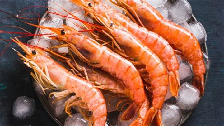 How big is a tiger shrimp
