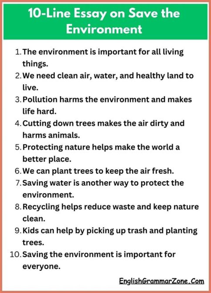 How can we save our environment essay