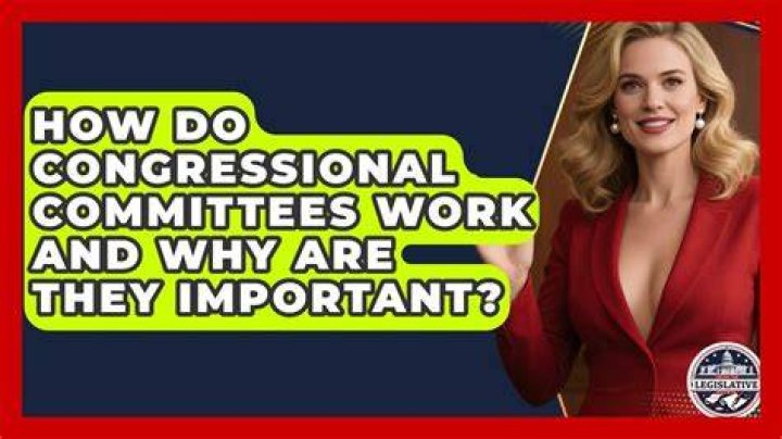 How do congressional committees work