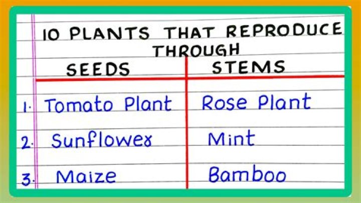 How do plants reproduce short answer
