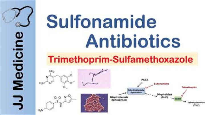 How do sulfa antibiotics sulfonamides kill bacteria