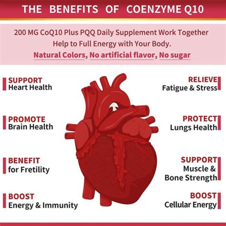 How do you dissolve CoQ10