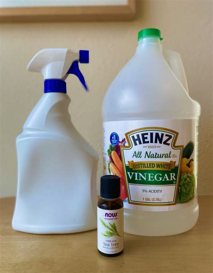 How do you kill ants with lemon juice?