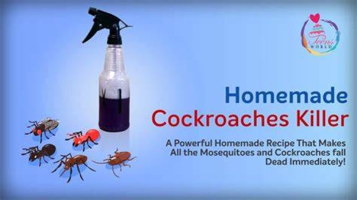 How do you make homemade cockroach killer?