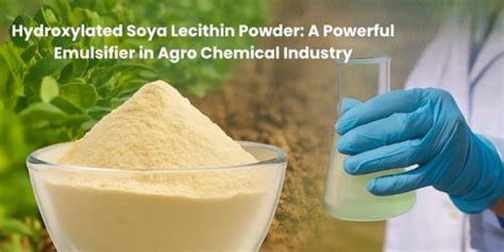 How do you make soy lecithin foam?