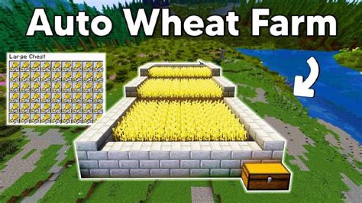 How do you make wheat germ at home