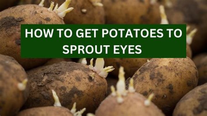 How do you remove potato eyes?