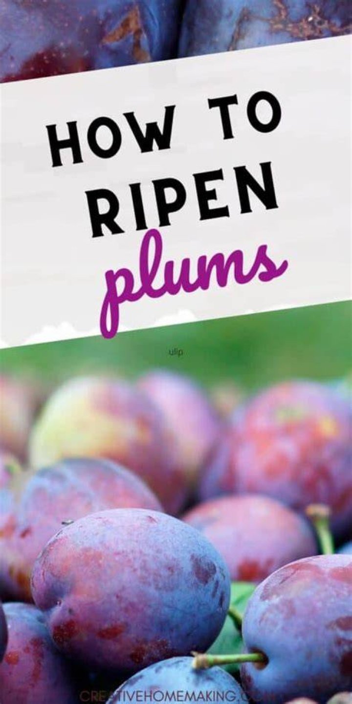 How do you ripen picked plums