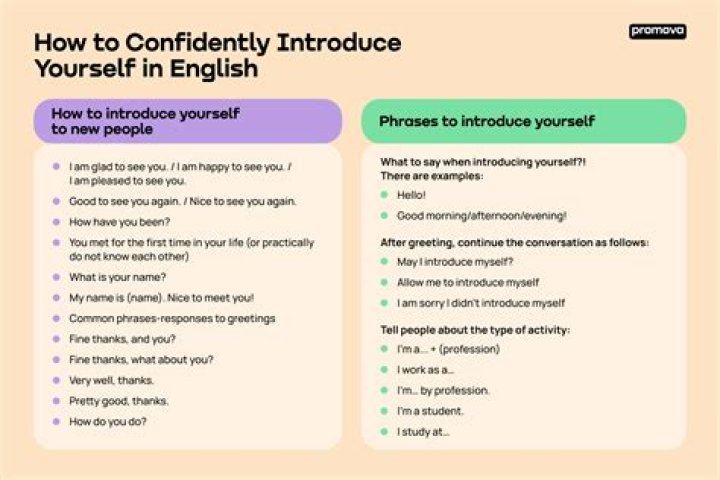 How do you use introduce in a sentence