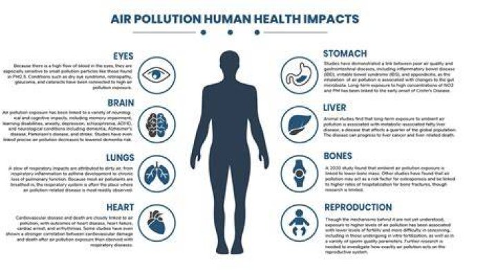 How does air pollution affect human health