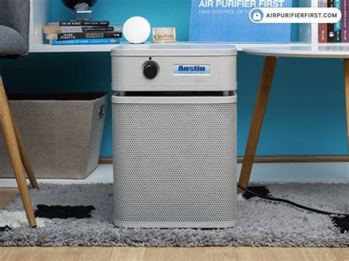 How does an ozone air purifier work