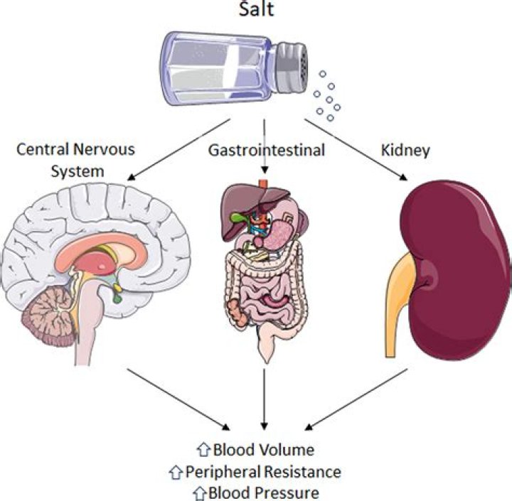 How does low sodium affect the brain