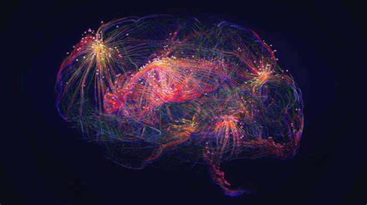 How many neurons are in a hidden layer