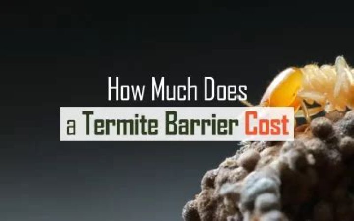 How much does a termite barrier cost