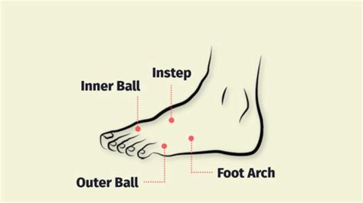 How much is cedar a foot