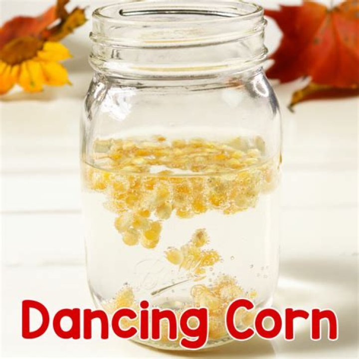 How to make magic dancing corn for kids?
