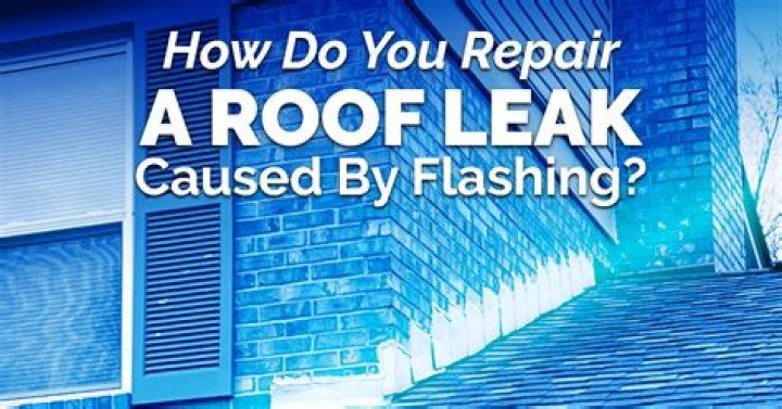 How was blight caused?