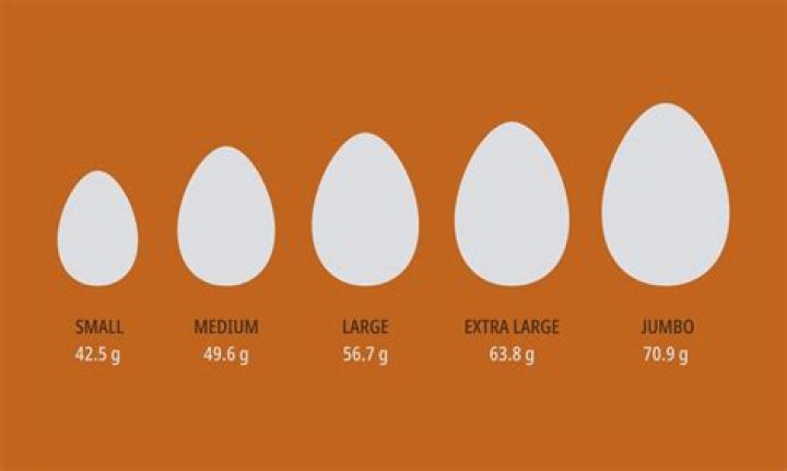 Is 2 large eggs same as 3 medium?
