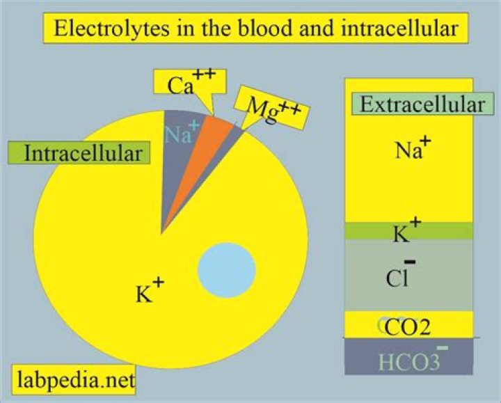 Is a potato an electrolytes?