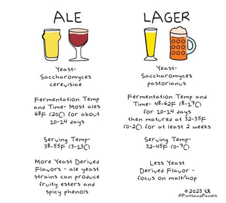 Is ale the same as beer?