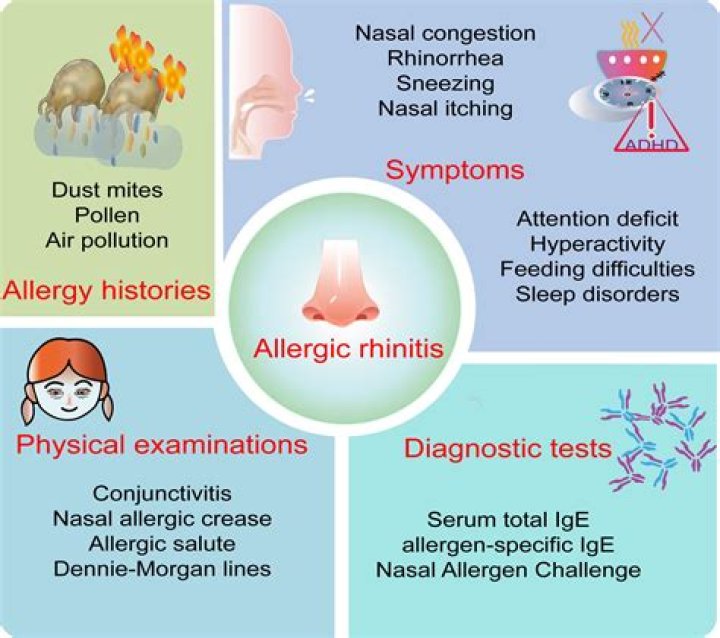 Is chronic rhinitis in cats contagious