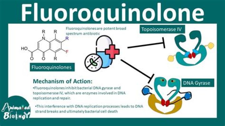 Is clindamycin a fluoroquinolones