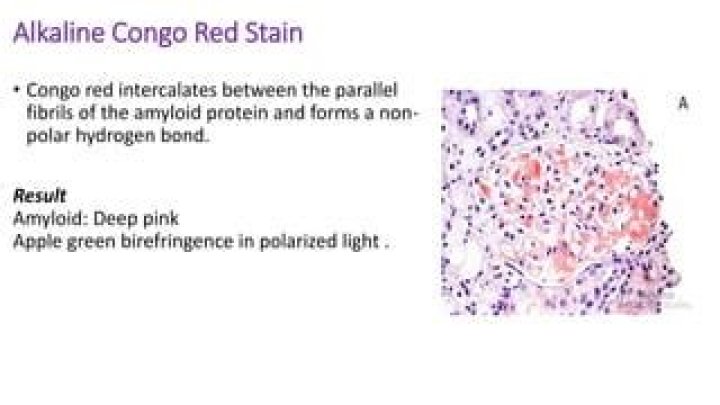Is Congo Red Polar