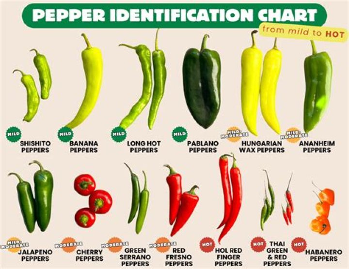 Is Hot pepper a veggie?