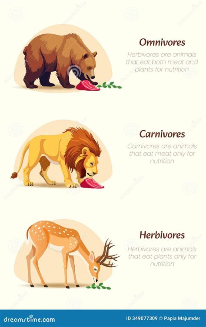 Is mackerel a carnivore or herbivore?